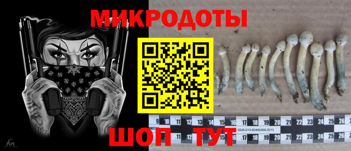 Йошкар-Ола  Псилоцибиновые грибы мухоморы  Вход с VPN 